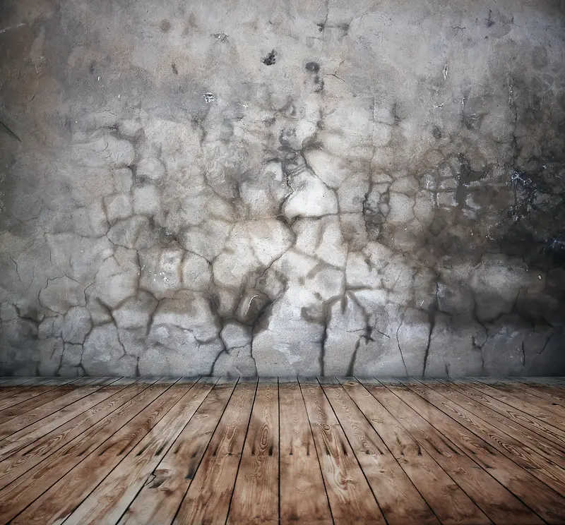 �ذ���ǽ����Ӱ-������