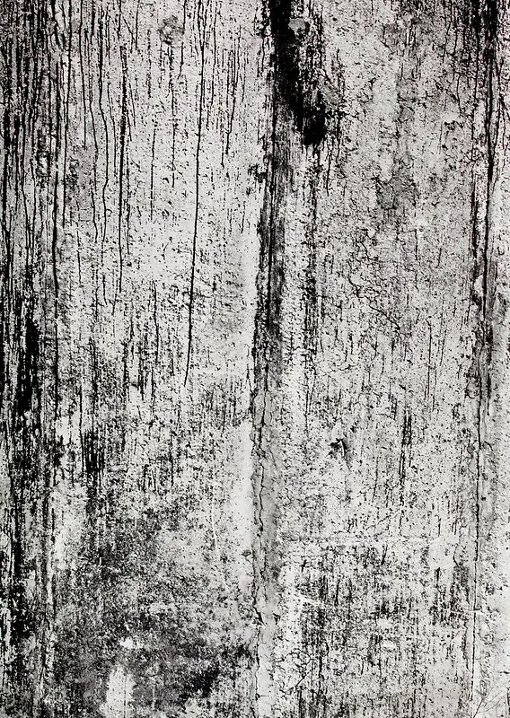 ����ľ�Ʊ���-������