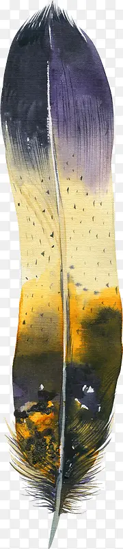 ˮ����ë-������