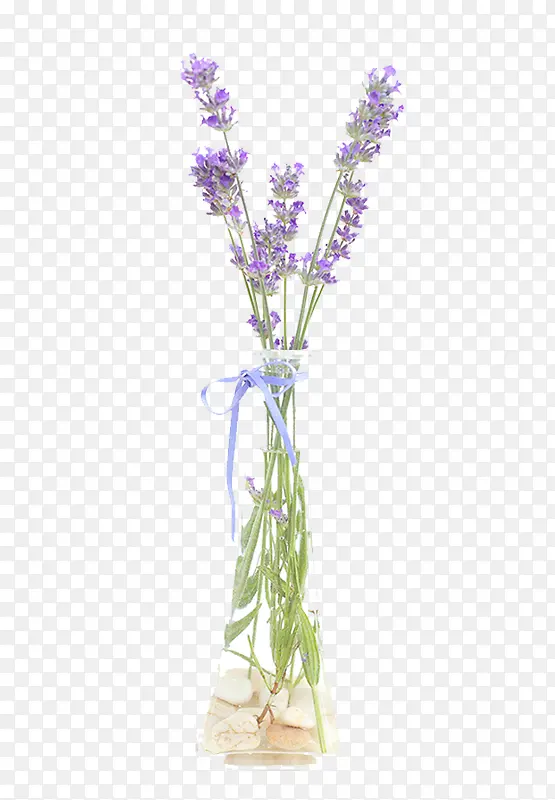 ޹�²ݼҾӰ���-������