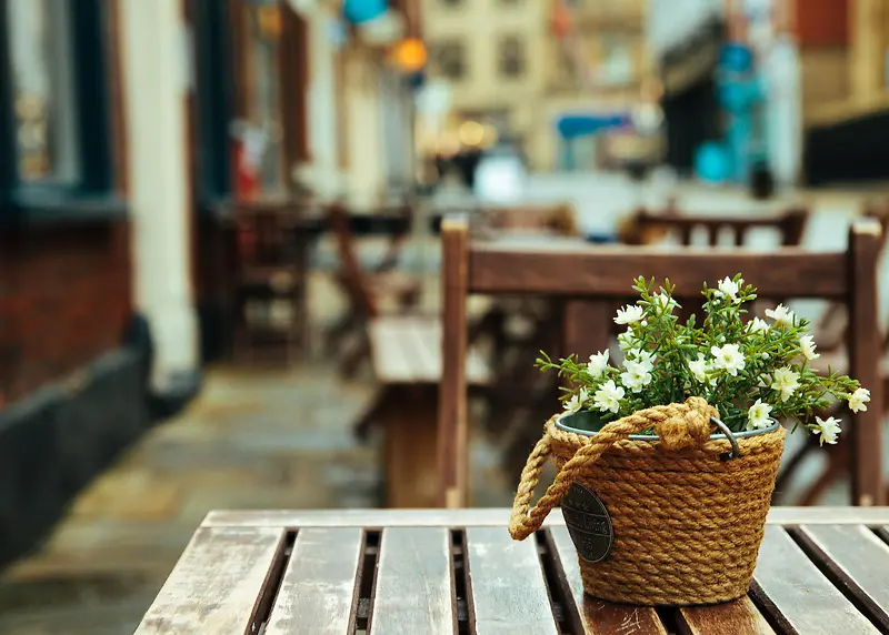 Ψ������������Ӱ-������