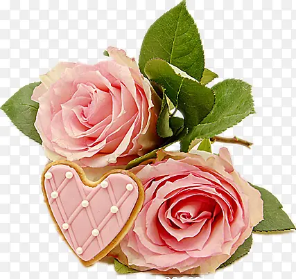 ��ɫ��õ��-������