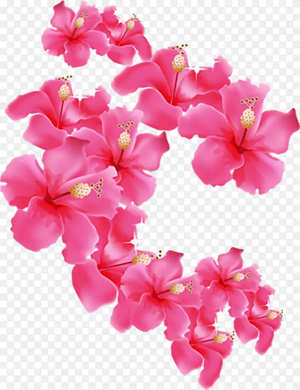 ��Ӱ��װ��������Ч�����-������