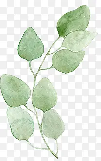 ��Ӱ�������̷�װ�ֻ���Ҷ-������