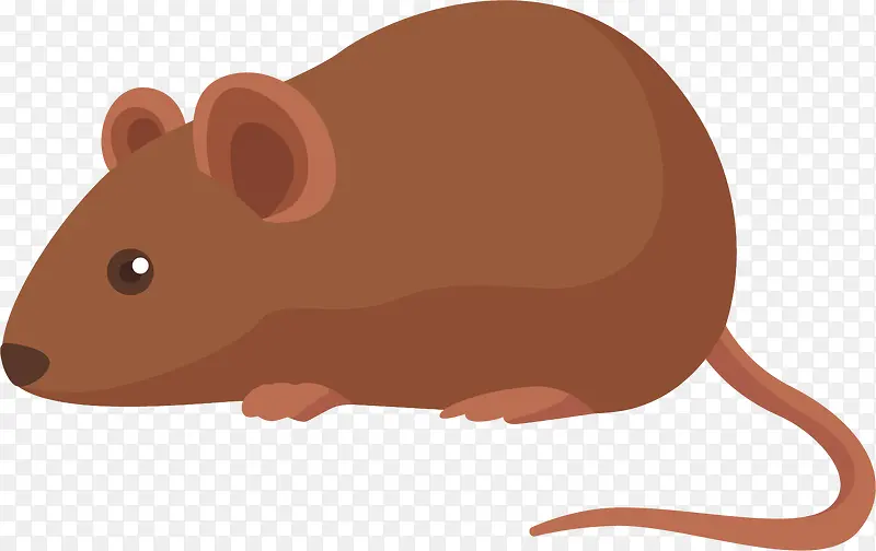 ��ͨ����ʸ��ͼ����-������