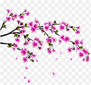 ��ƺ�����Ϧ��֦����-������