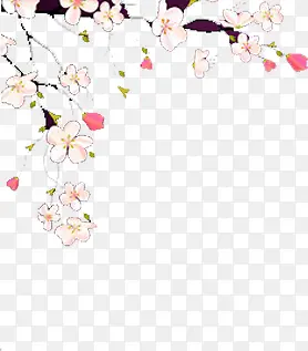 ��֦-������