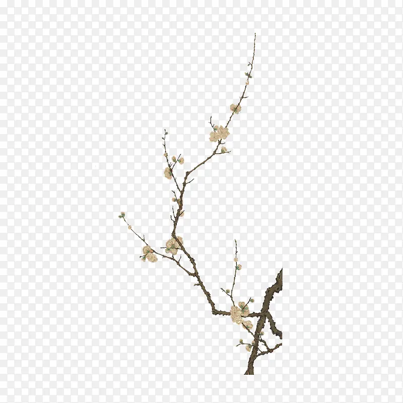 �й������ˮī��֦-������