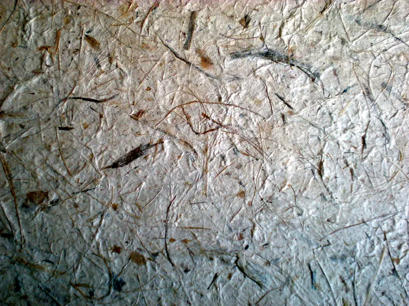 ͻ�����ʲ��ʱ���-������