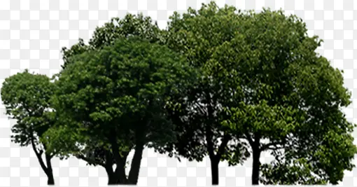 �ߵ�סլС������-������