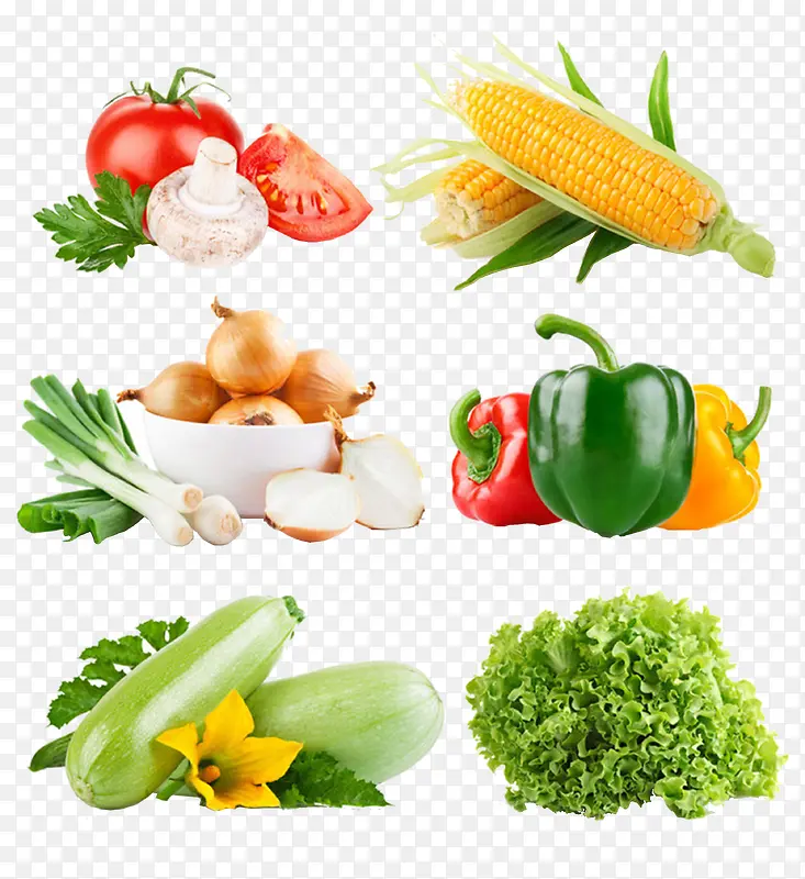 ʵ��ϼ�-������