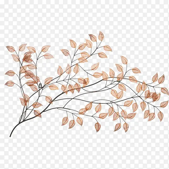 ����֦��-������