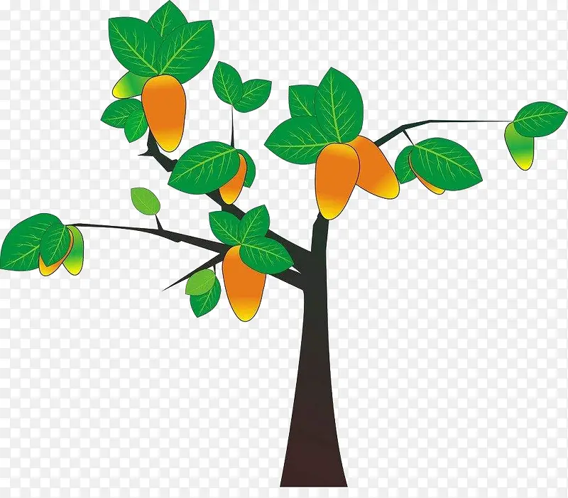 ��ͨâ����-������