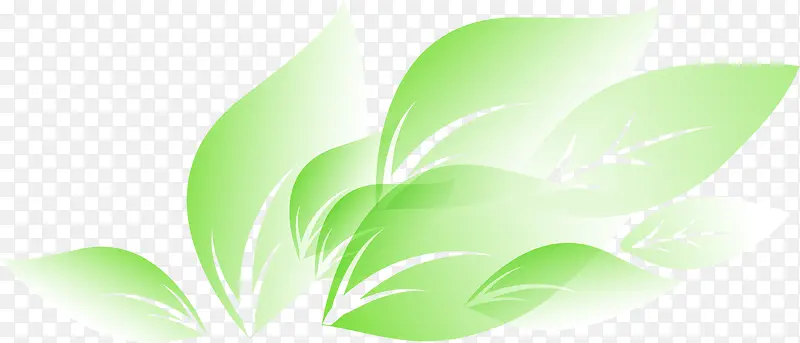 ��ͨ�ֻ澫����Ҷ-������