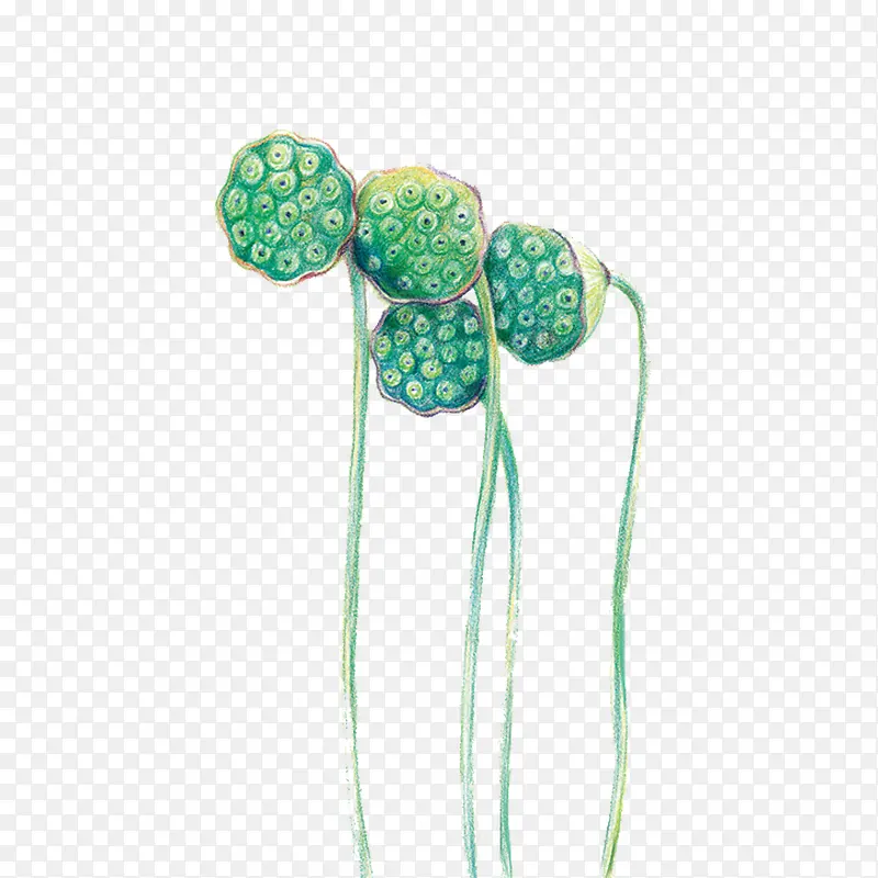 ��ͨ�ֻ�-������