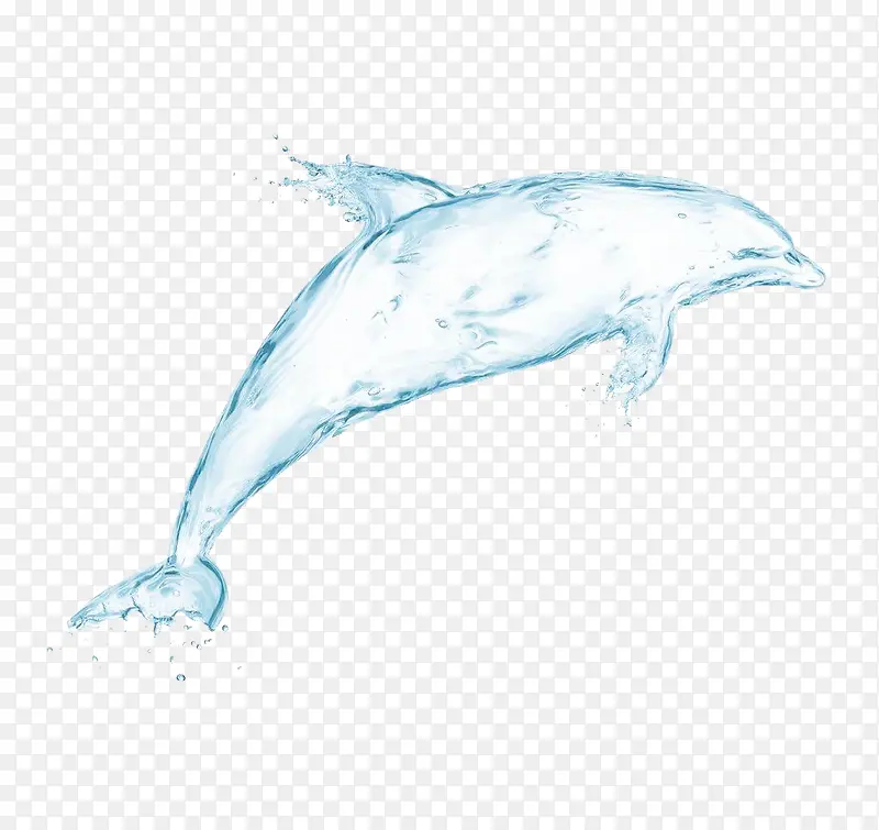 ��ɫ����-������