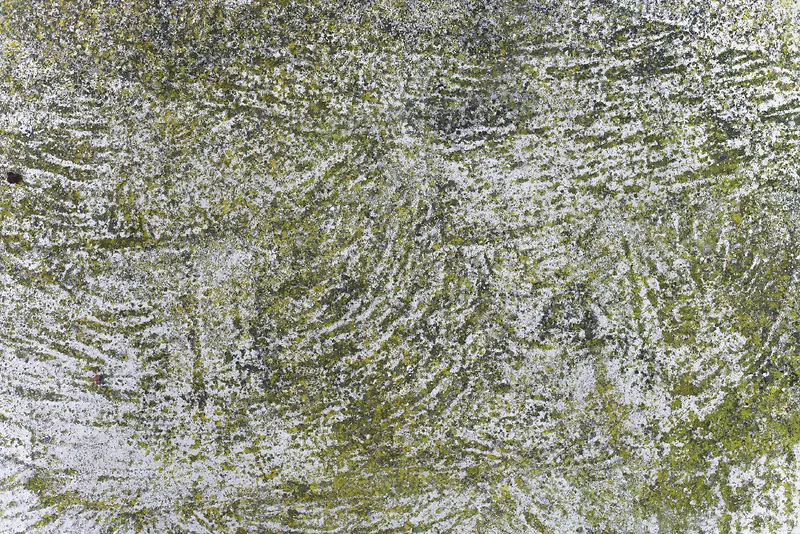 ��̦��������-������