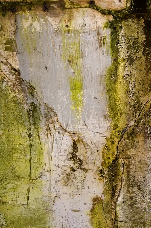 ��̦ǽ�ڱ���-������