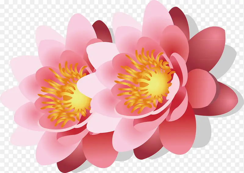 ����װ�����ʸ��-������