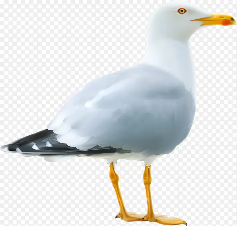 ����-������