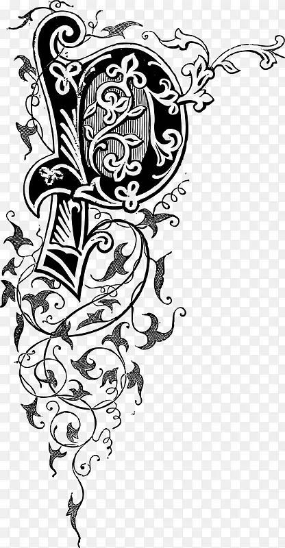 ��ɫʸ������������-������