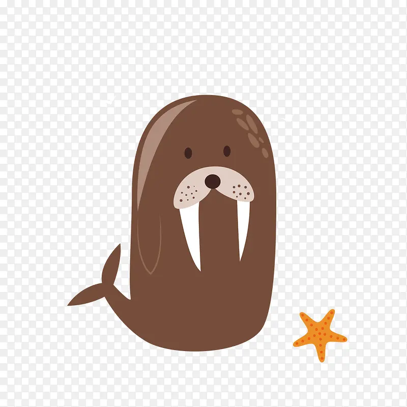 ���纣���տɰ�������-������