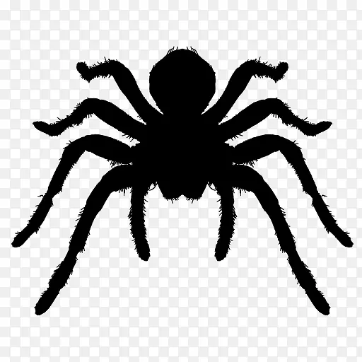 ֩���Ӱ-������