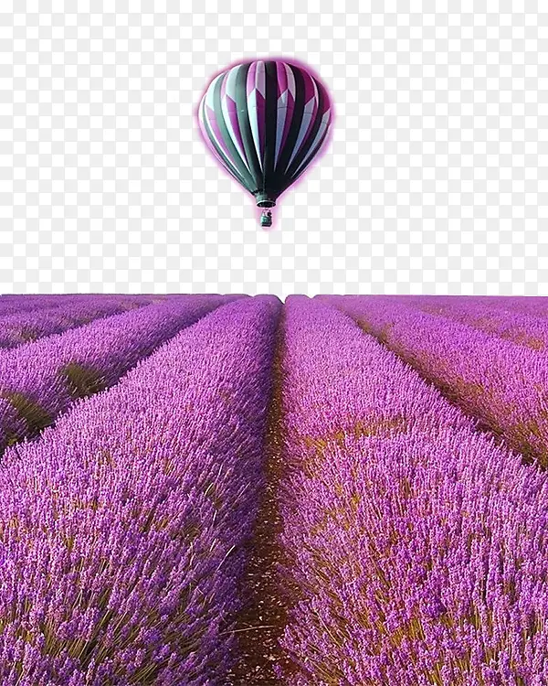 ޹�²�������-������