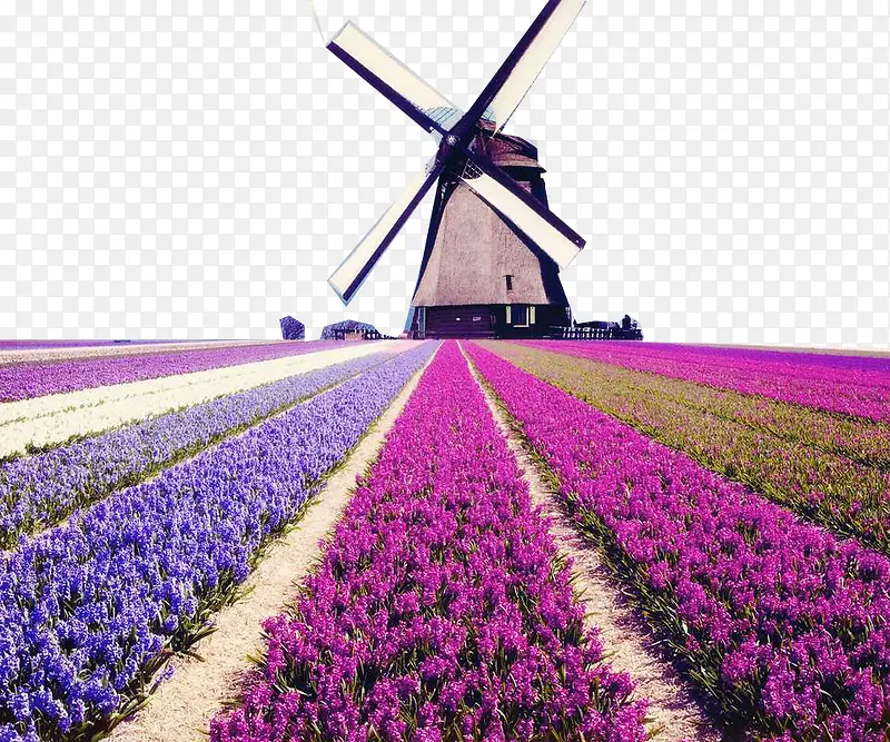 �糵�µ�޹�²�-������