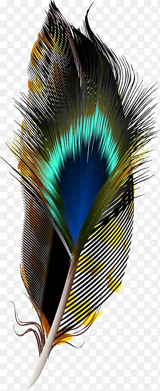 �ֻ���ë-������