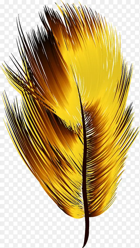 �ֻ���ë-������