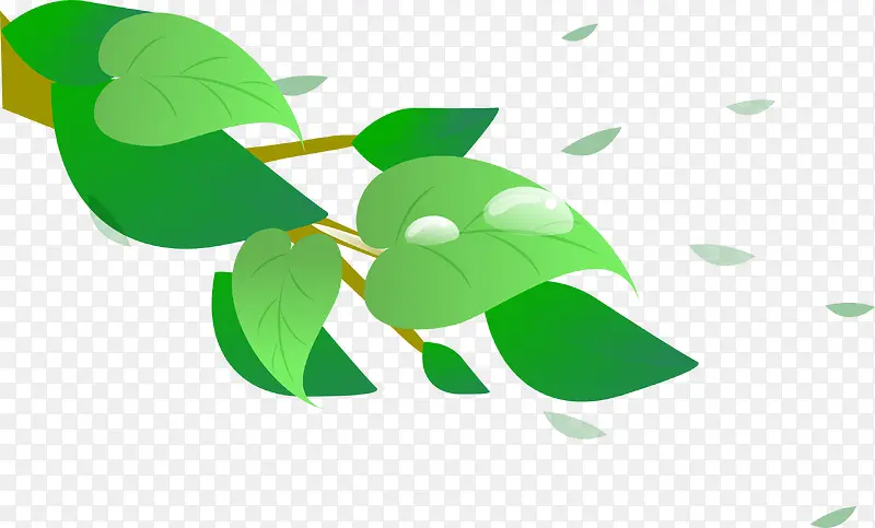 �ֻ���Ҷ-������