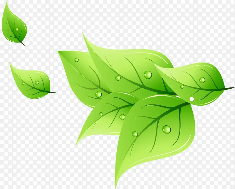 ��Ҷ-������