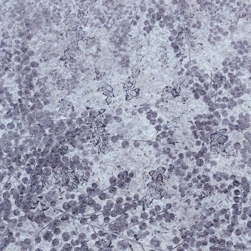 ��ɫ��֦����-������