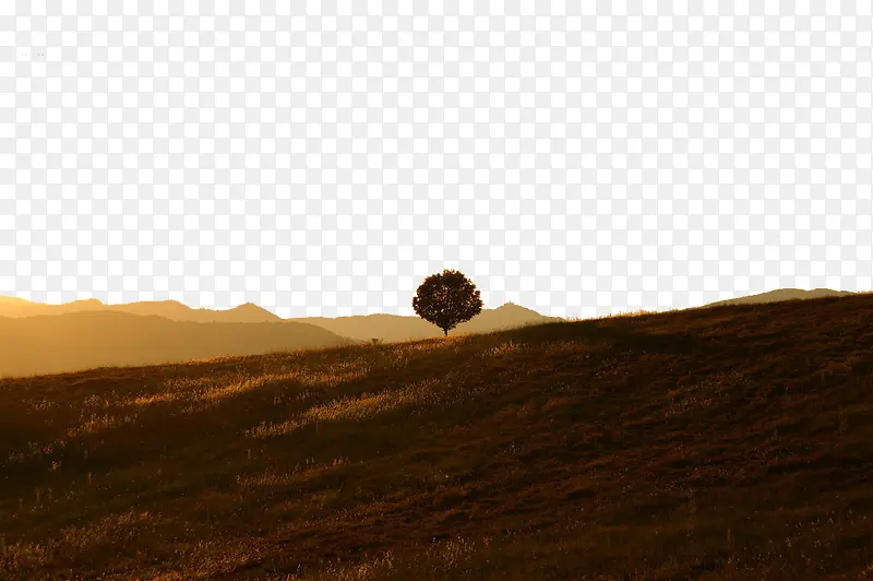 ɽ���ϵ���-������