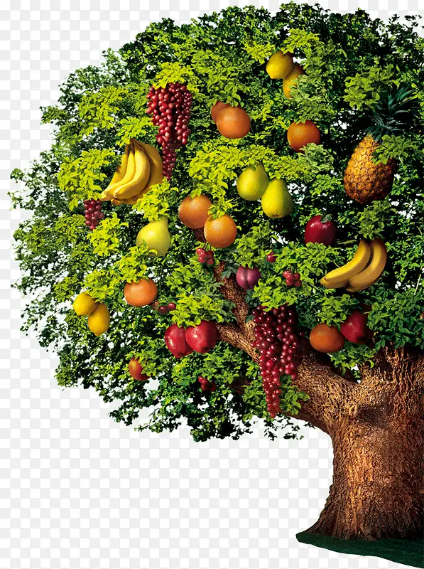 ˮ����-������