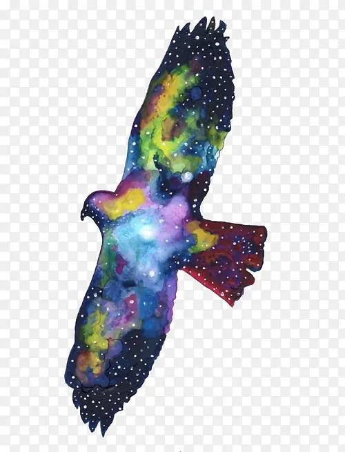 ˮ����ӥ-������