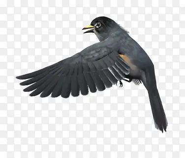 ��ɿ��������-������