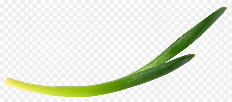 ��ɫ��ѿ-������