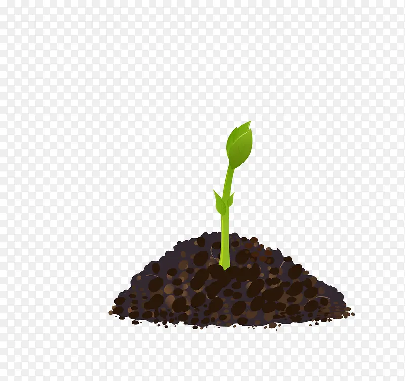 С��-������