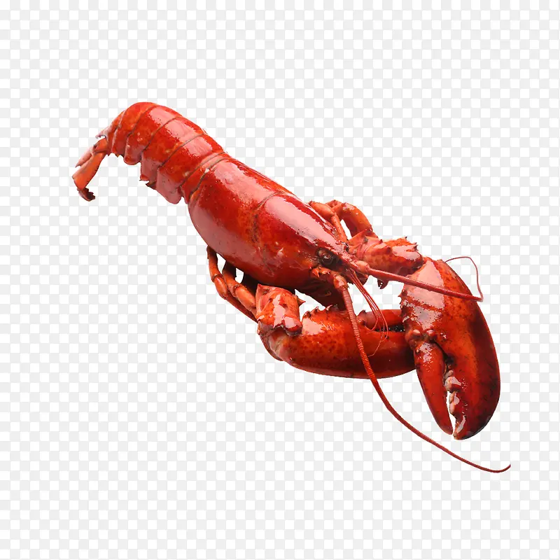 С��Ϻ��������ز�-������