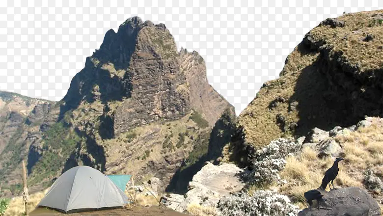 ɽ��ҰӪ�ز�-������