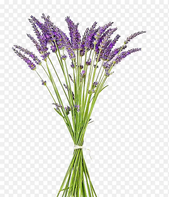 һ��޹�²�-������