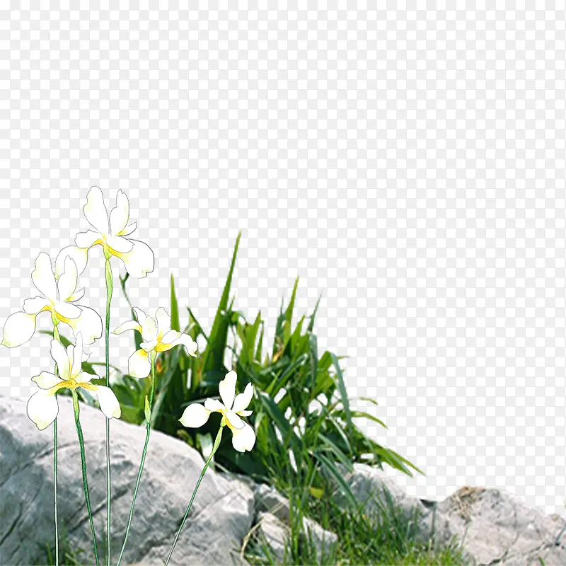 ��ɫС��-������