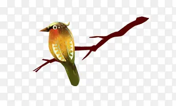 ��֦���ز�-������