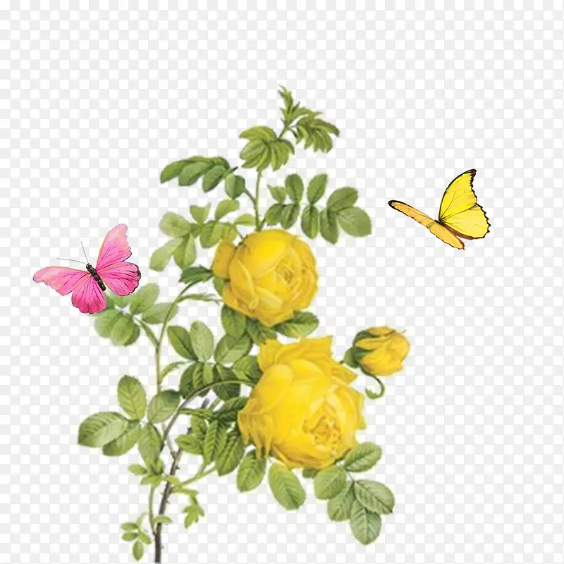 ��ɫװ�λ�-������