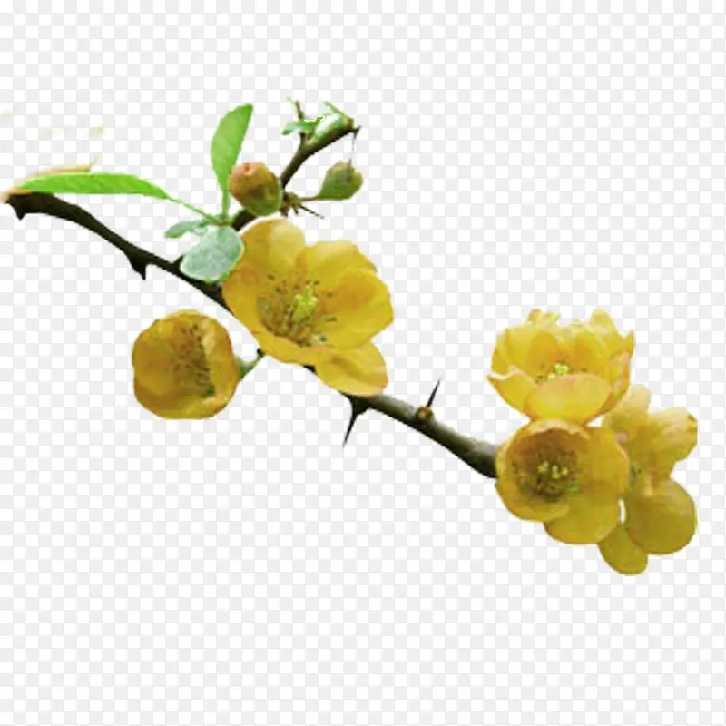 Ұ��-������