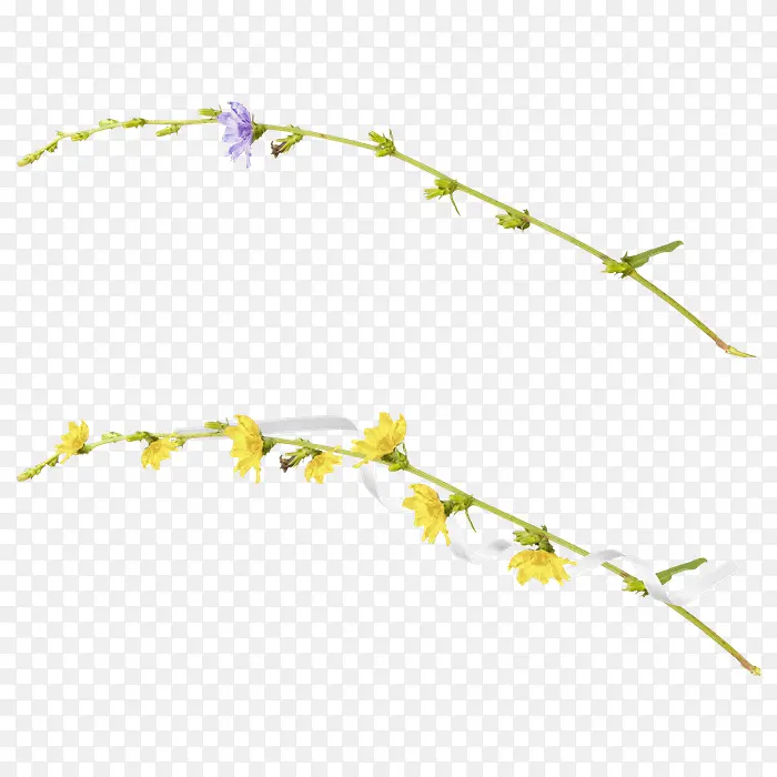 ��֦-������