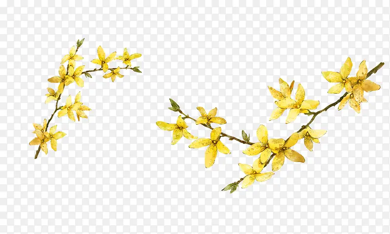 С�ƻ�-������