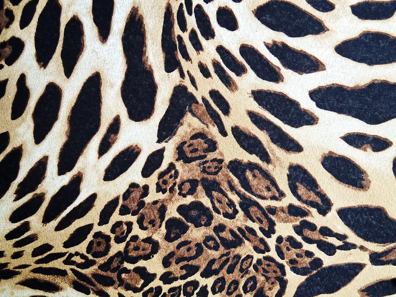 ���Ʊ���ͼ��-������